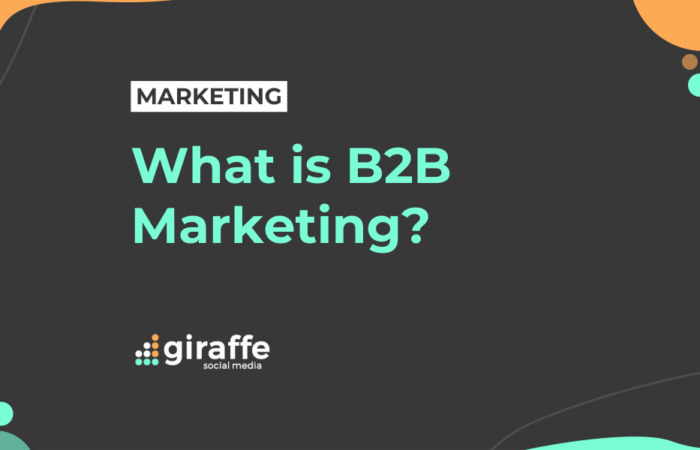 What is B2B Marketing