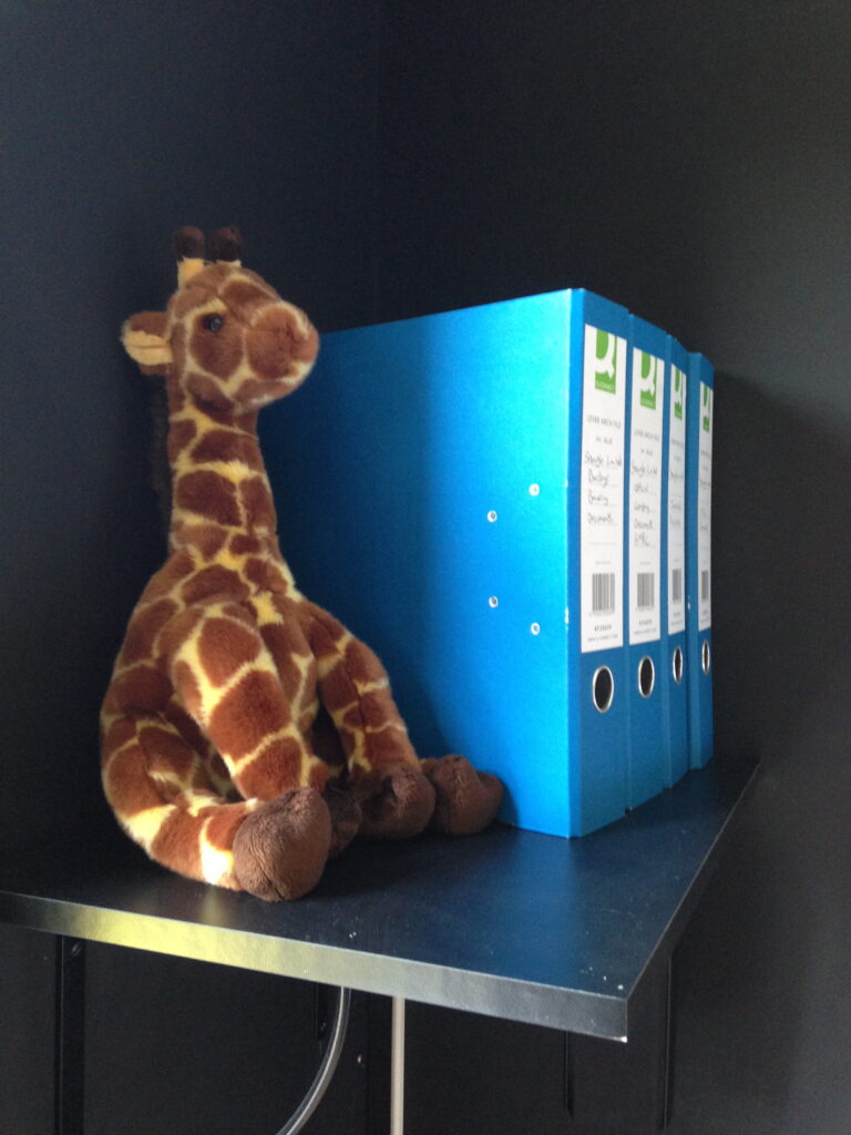 cuddly giraffe