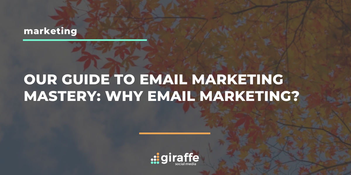 email marketing