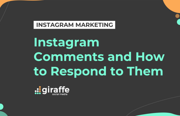Instagram Comments and How to Respond to Them