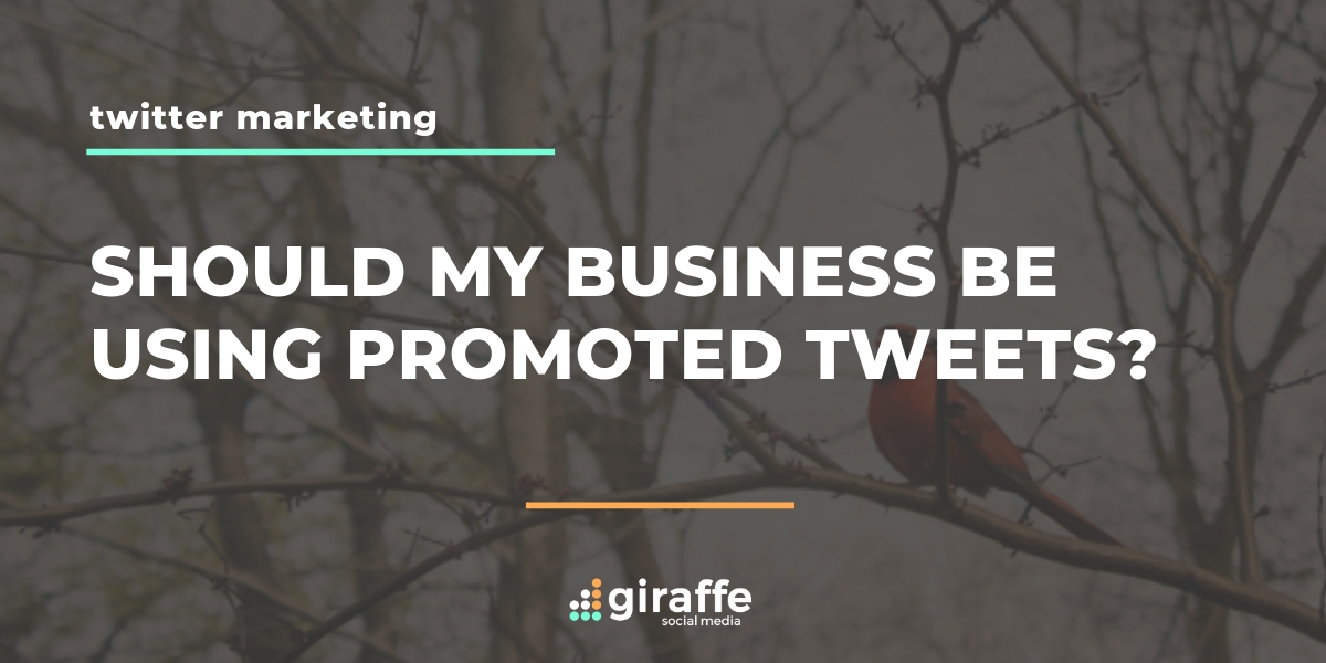 promoted tweets