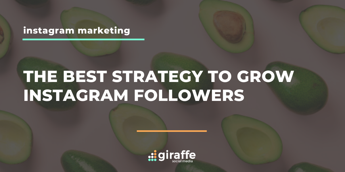 Instagram Followers
