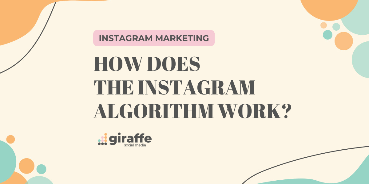 How Does the Instagram Algorithm Work? - Giraffe Social Media
