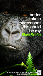 Social Media PR - #lastselfie campaign