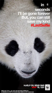 Social Media PR - #lastselfie campaign