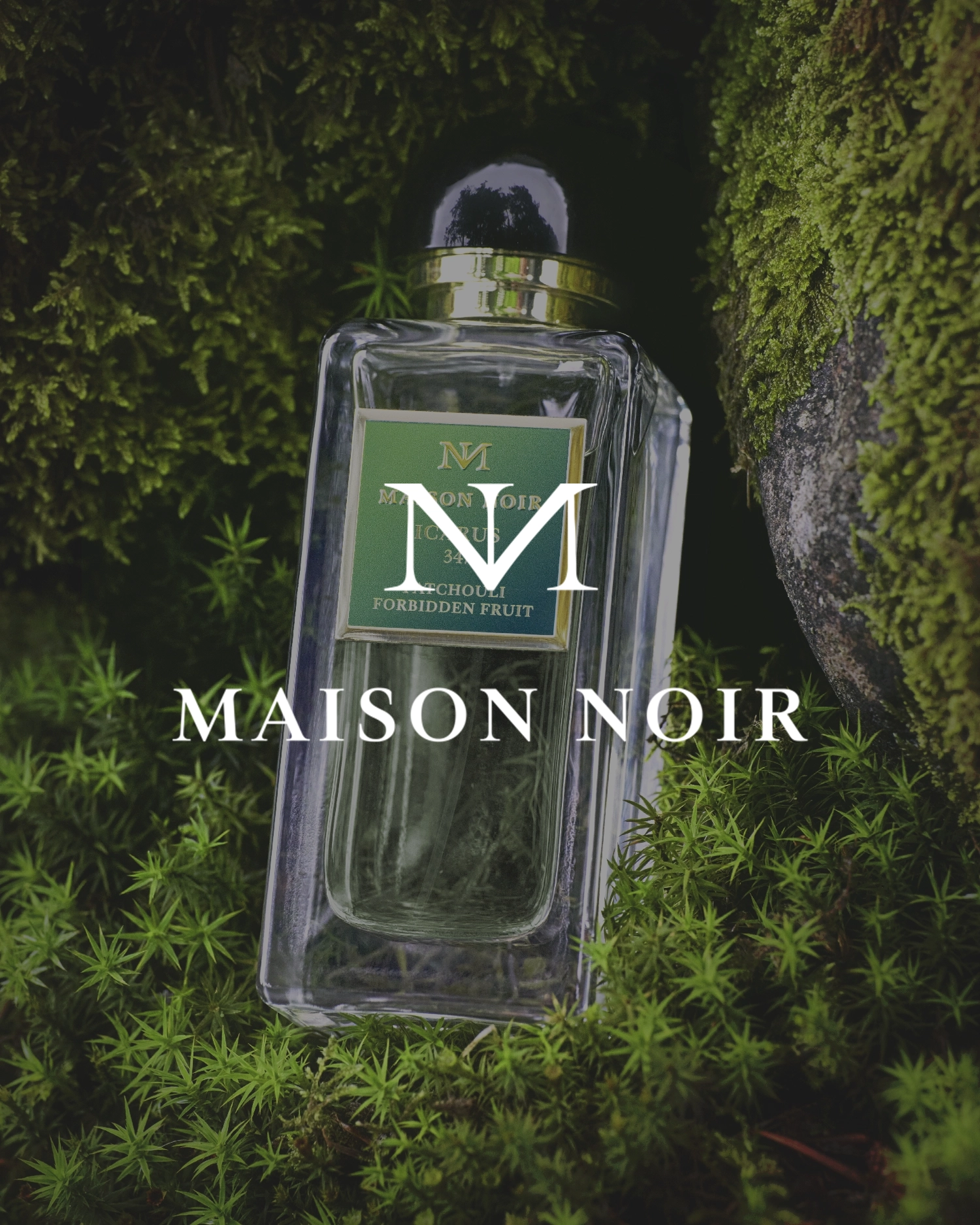 maison noir - agency for digital marketing