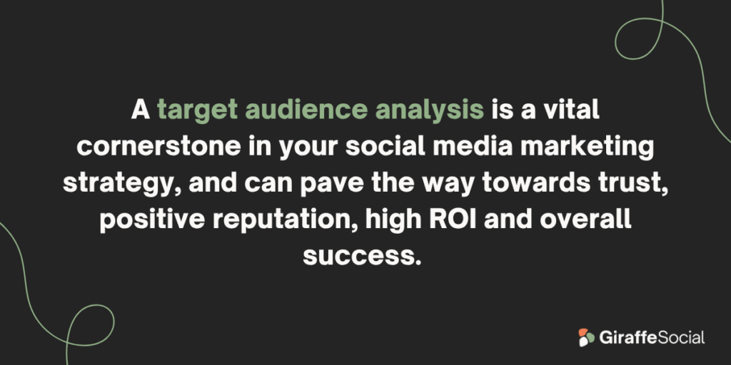 target audience analysis